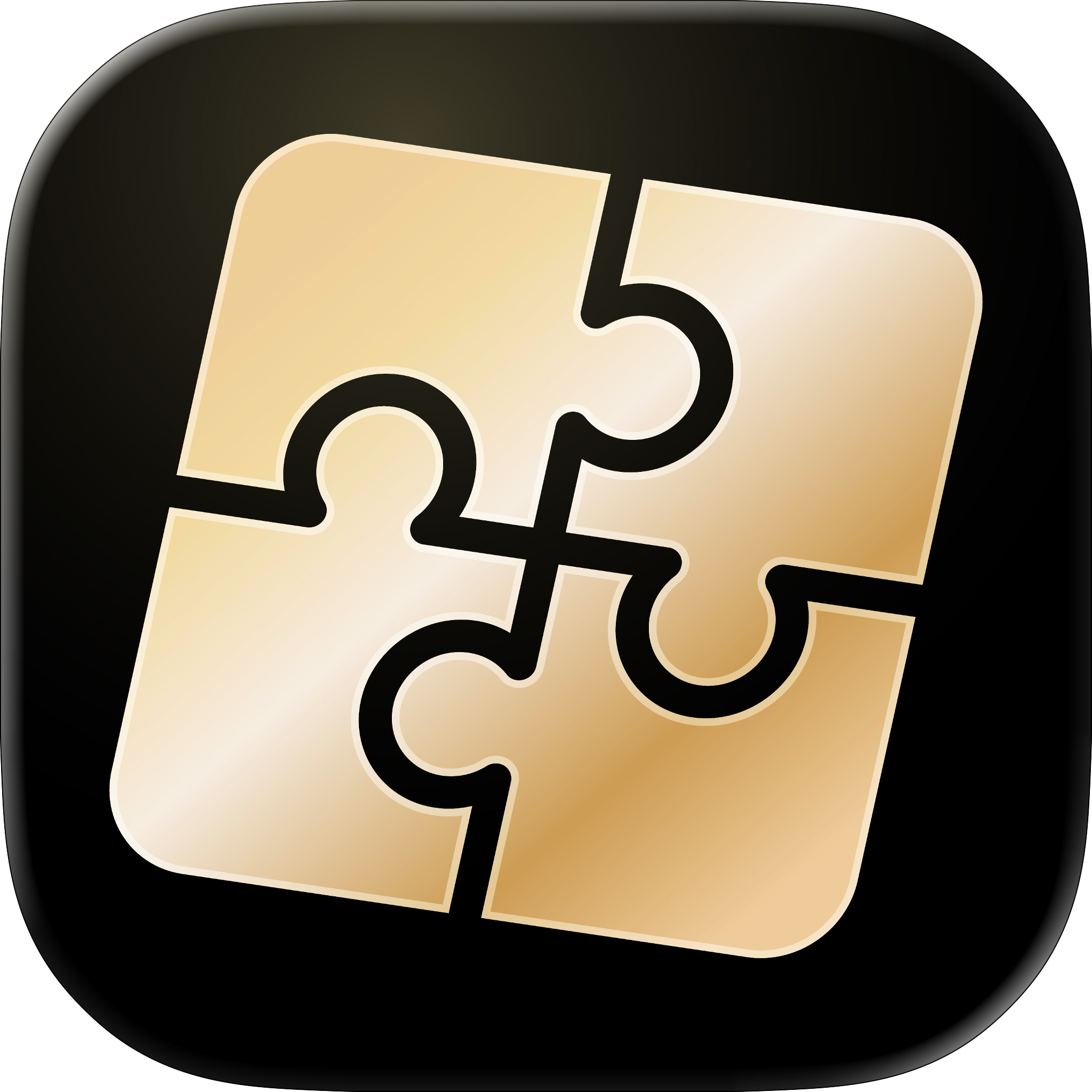 The Puzzle Section